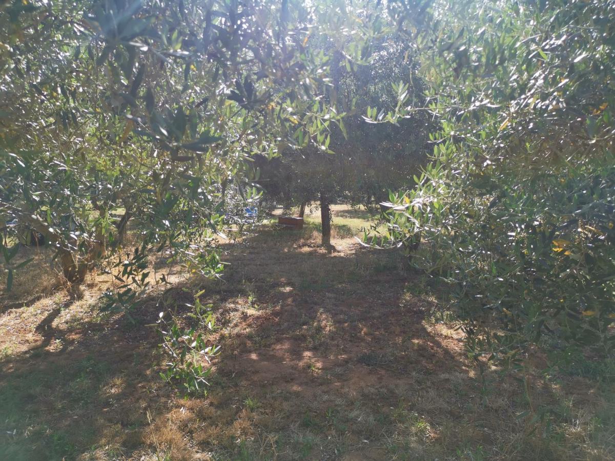 Jacuzi Cottage In The Olive Grove PUY Exterior foto