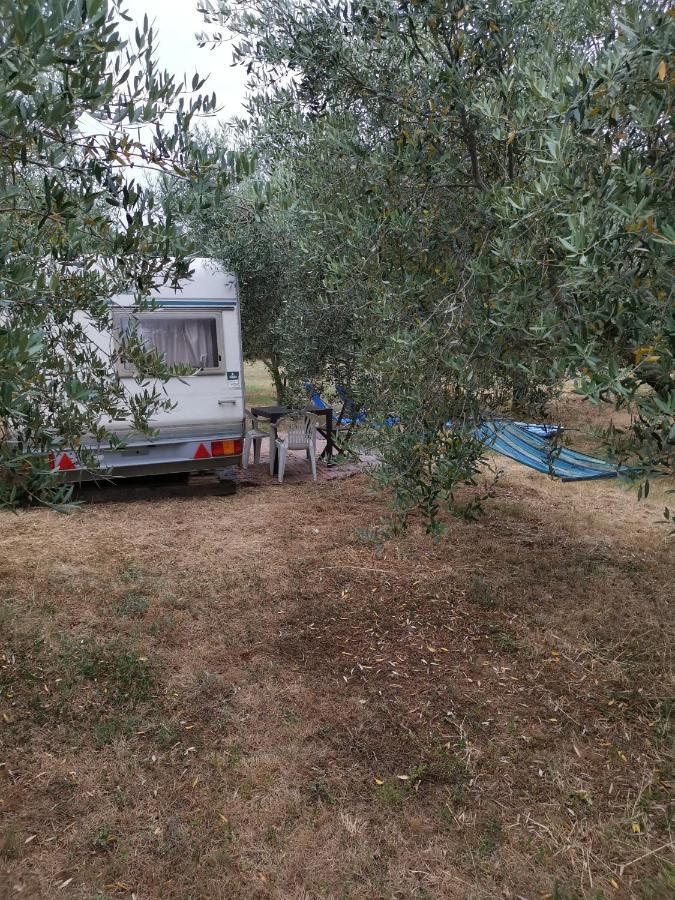 Jacuzi Cottage In The Olive Grove PUY Exterior foto