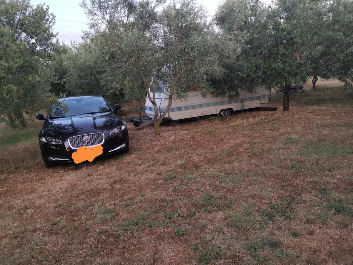 Jacuzi Cottage In The Olive Grove PUY Exterior foto