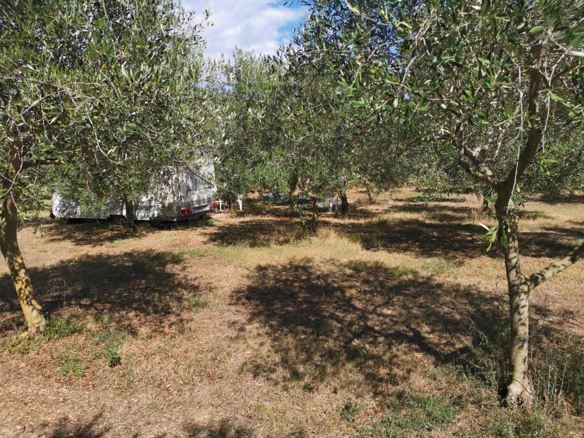 Jacuzi Cottage In The Olive Grove PUY Exterior foto
