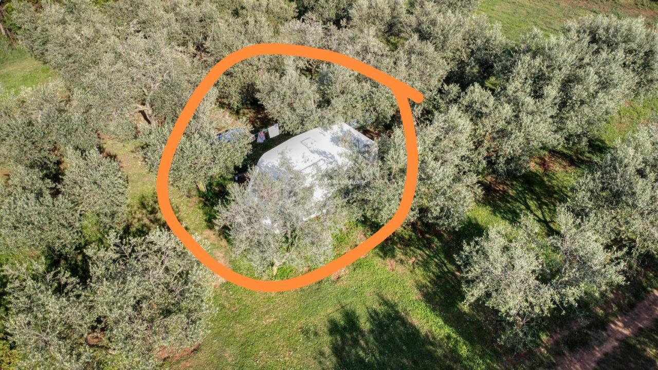 Jacuzi Cottage In The Olive Grove PUY Exterior foto